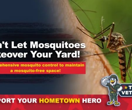Team Veterans Pest Control