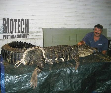 Biotech Pest Management