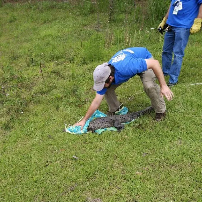 Biotech Pest Management Picture 8
