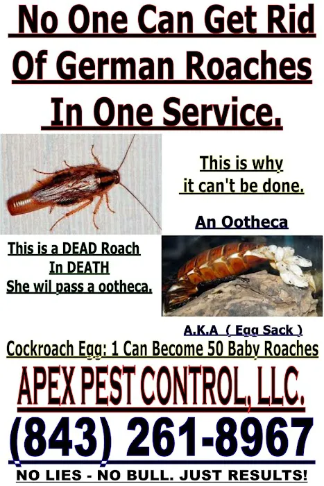 Apex Pest Control LLC Picture 2