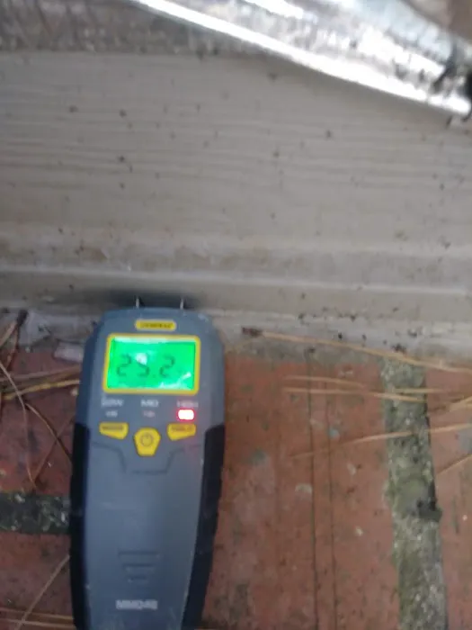 Elams Pest Control Inc Picture 5