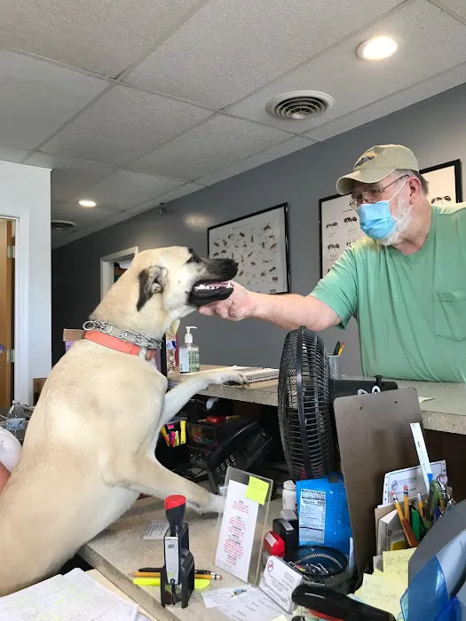 Elams Pest Control Inc Picture 6