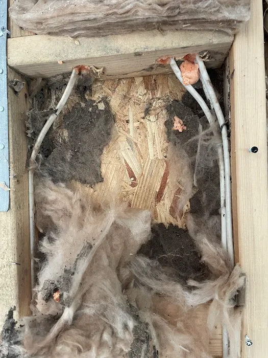 Clark's Termite & Pest Control Picture 7