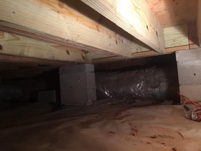 Keith's Termite & Pest Control LLC Picture 3