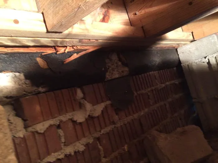 Keith's Termite & Pest Control LLC Picture 6
