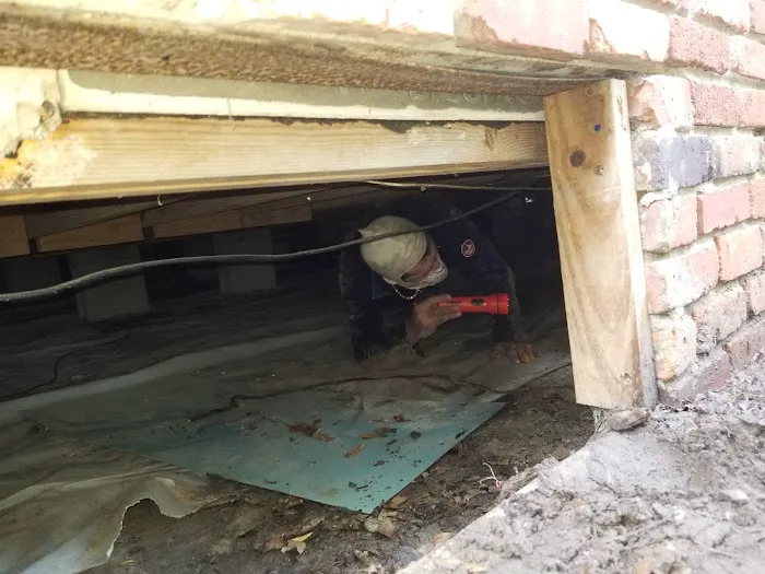 Keith's Termite & Pest Control LLC Picture 9