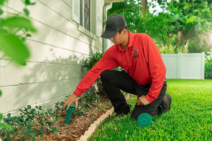 All U Need Pest Control Picture 2