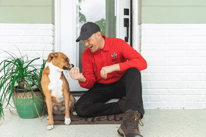 All U Need Pest Control Picture 6