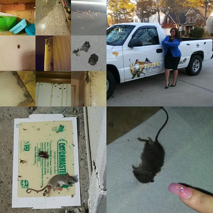 5 Star Pest Control LLC Picture 2