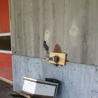 Carolina Honeybee Removal ico