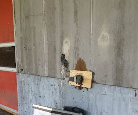 Carolina Honeybee Removal