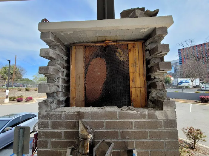Carolina Honeybee Removal Picture 10