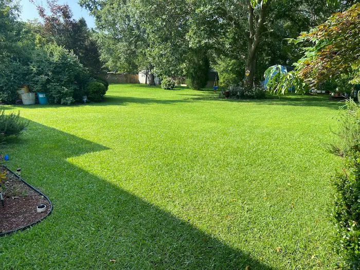 Green Valley Lawn Solutions - Weed Control & Fertilization Service Picture 4