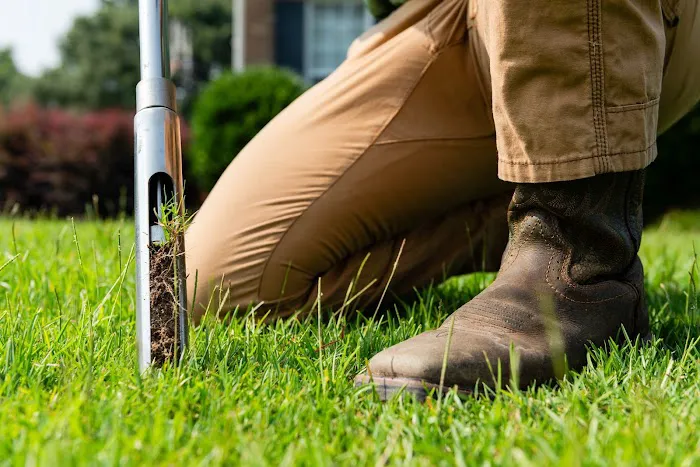 Green Valley Lawn Solutions - Weed Control & Fertilization Service Picture 6