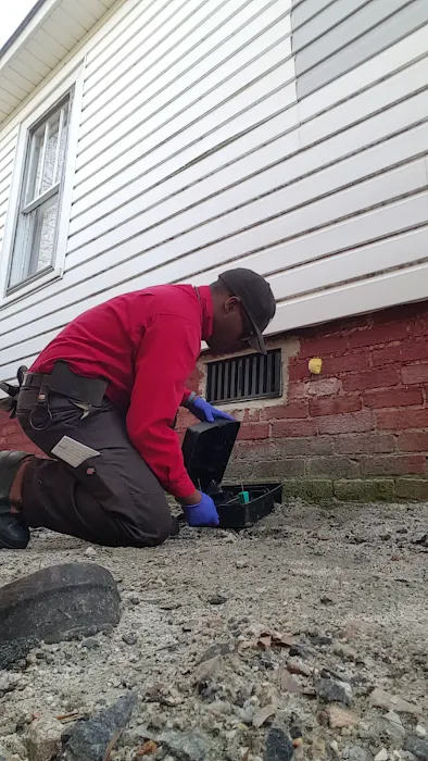 Go-Forth Pest Control Picture 3
