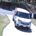 Go-Forth Pest Control