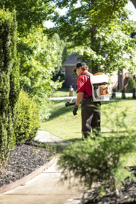 Go-Forth Pest Control Picture 10