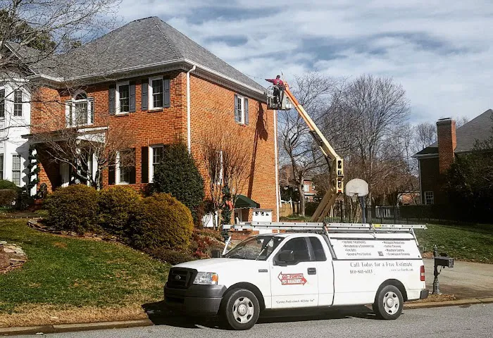 Go-Forth Pest Control Picture 4