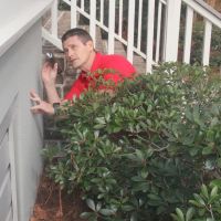 Palmetto Exterminators, Inc. ico