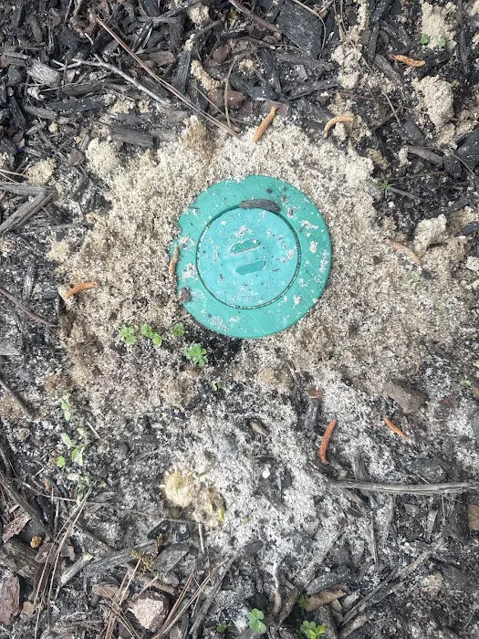 Massey Services Pest Control Picture 1