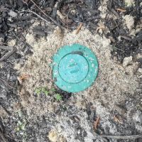 Massey Services Pest Control ico