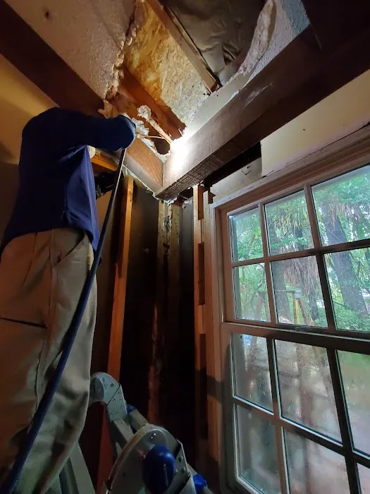 Ledford's Termite & Pest Control Picture 4