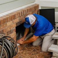 Ledford's Termite & Pest Control ico