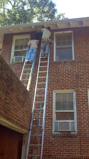 All Things Wild DP, LLC - Columbia SC Picture 4