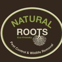 Natural Roots Organic Pest Control ico