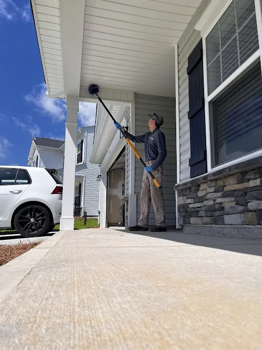ClearDefense Pest Control Picture 5