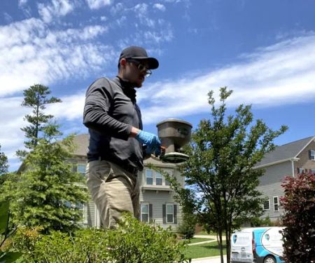 ClearDefense Pest Control