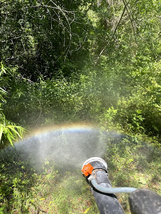 ClearDefense Pest Control Picture 8