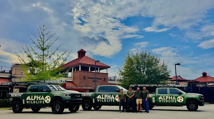 Alpha Wildlife Columbia Picture 8