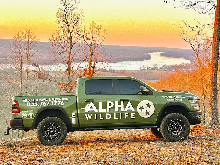 Alpha Wildlife Columbia Picture 5