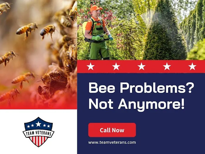 Team Veterans Pest Control Picture 6