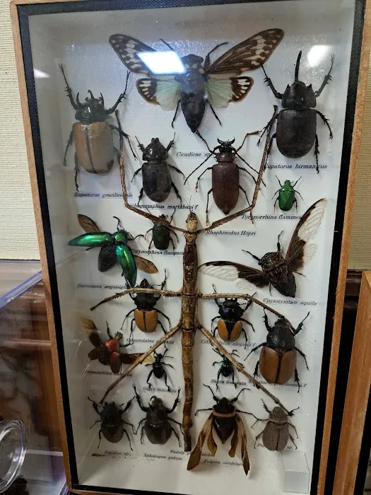 Modern Exterminating Company, Inc. Picture 1