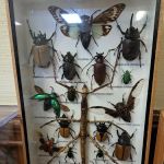 Modern Exterminating Company, Inc.