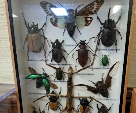 Modern Exterminating Company, Inc.