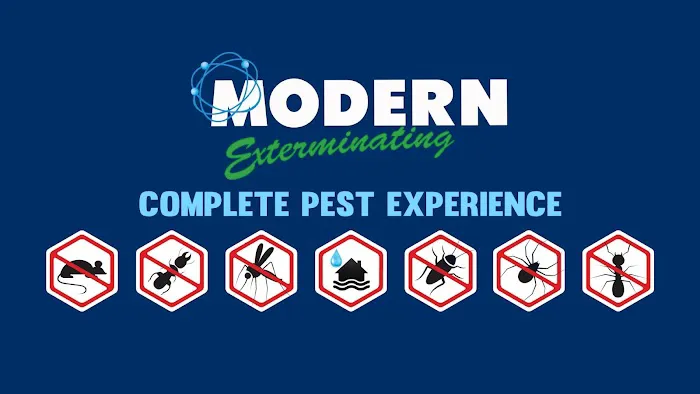 Modern Exterminating Company, Inc. Picture 5