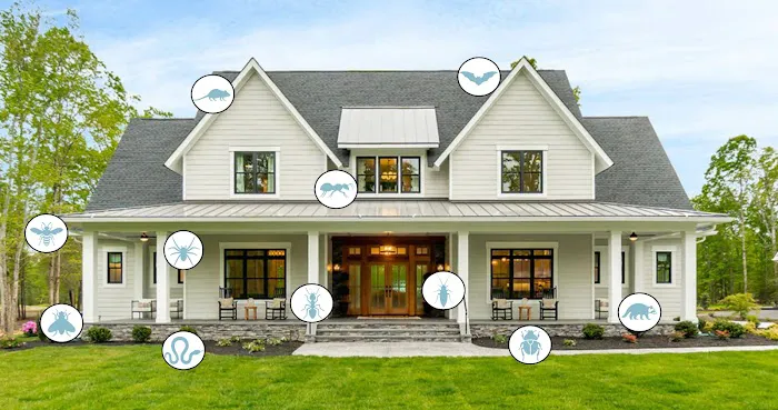 Bugs Out Pest Control Picture 1