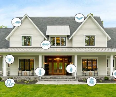 Bugs Out Pest Control