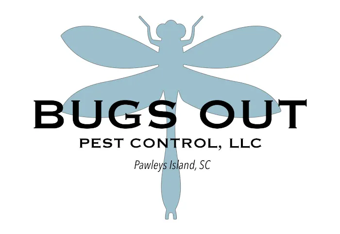 Bugs Out Pest Control Picture 2