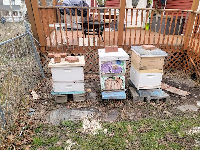 Bouterse Urban Bees Picture 8