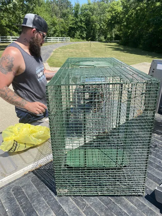 Mayhem Bat Control And Nuisance Animal Trapping LLC. Picture 2