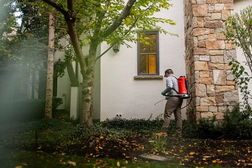 Greenix Pest Control Picture 2