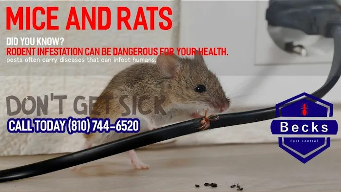 Beck's Pest Control Picture 3