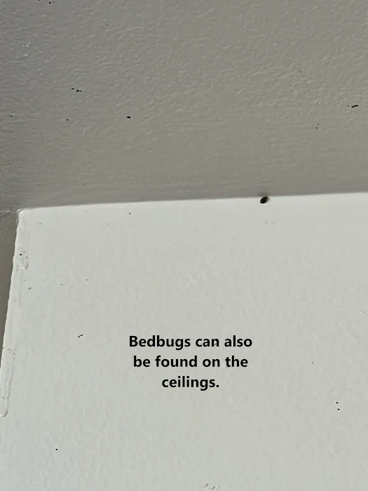 Beck's Pest Control Picture 6