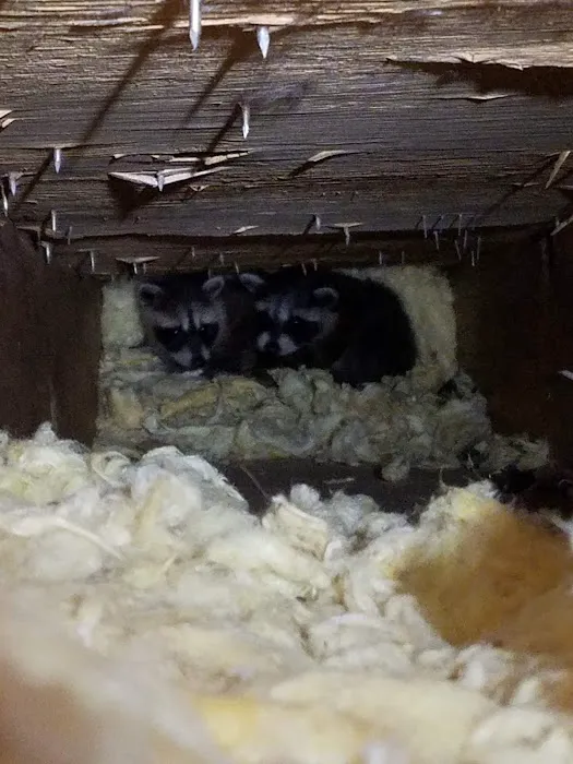 Waldner Wildlife Solutions Picture 6