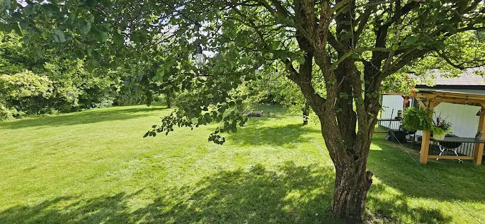 Custom Personalized Lawn Care Picture 6