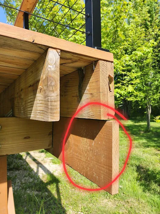 Fast Pace Spiders and Wasp Control, LLC Picture 7